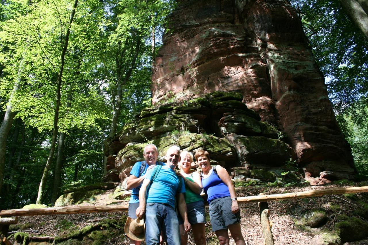 Chambre D'Hotes Petit Arnsbourg Obersteinbach Екстер'єр фото
